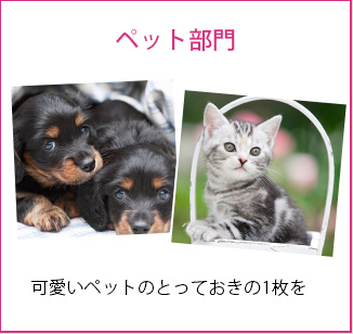 ペット部門
